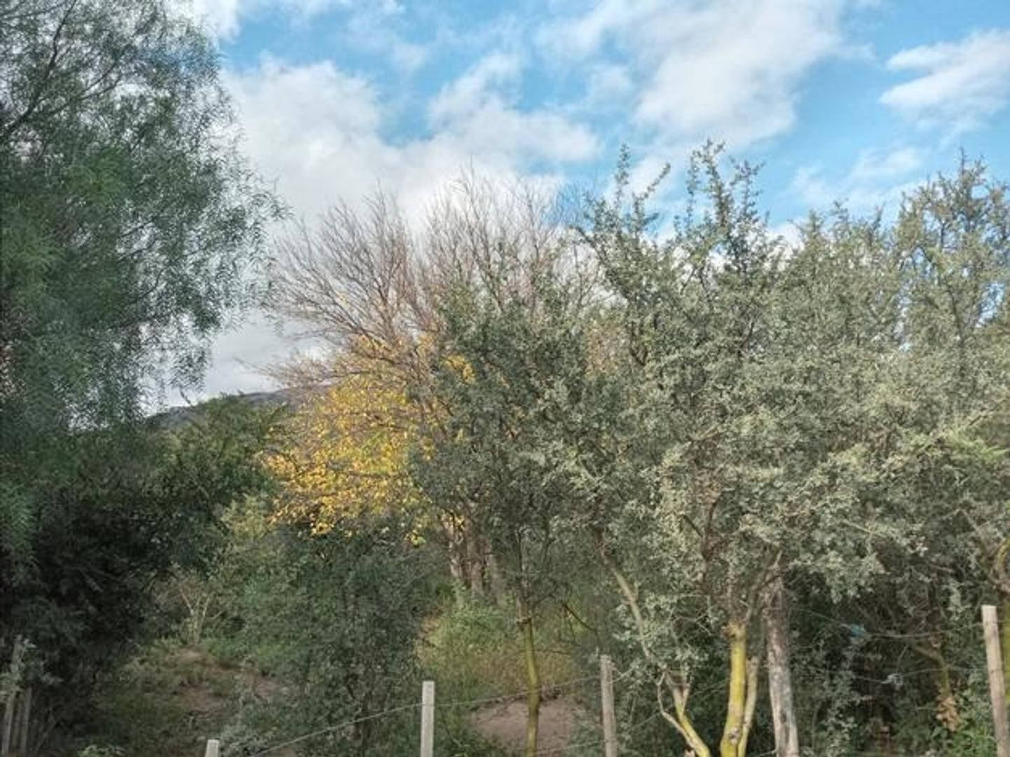 Terreno en Venta de 555,0 m2