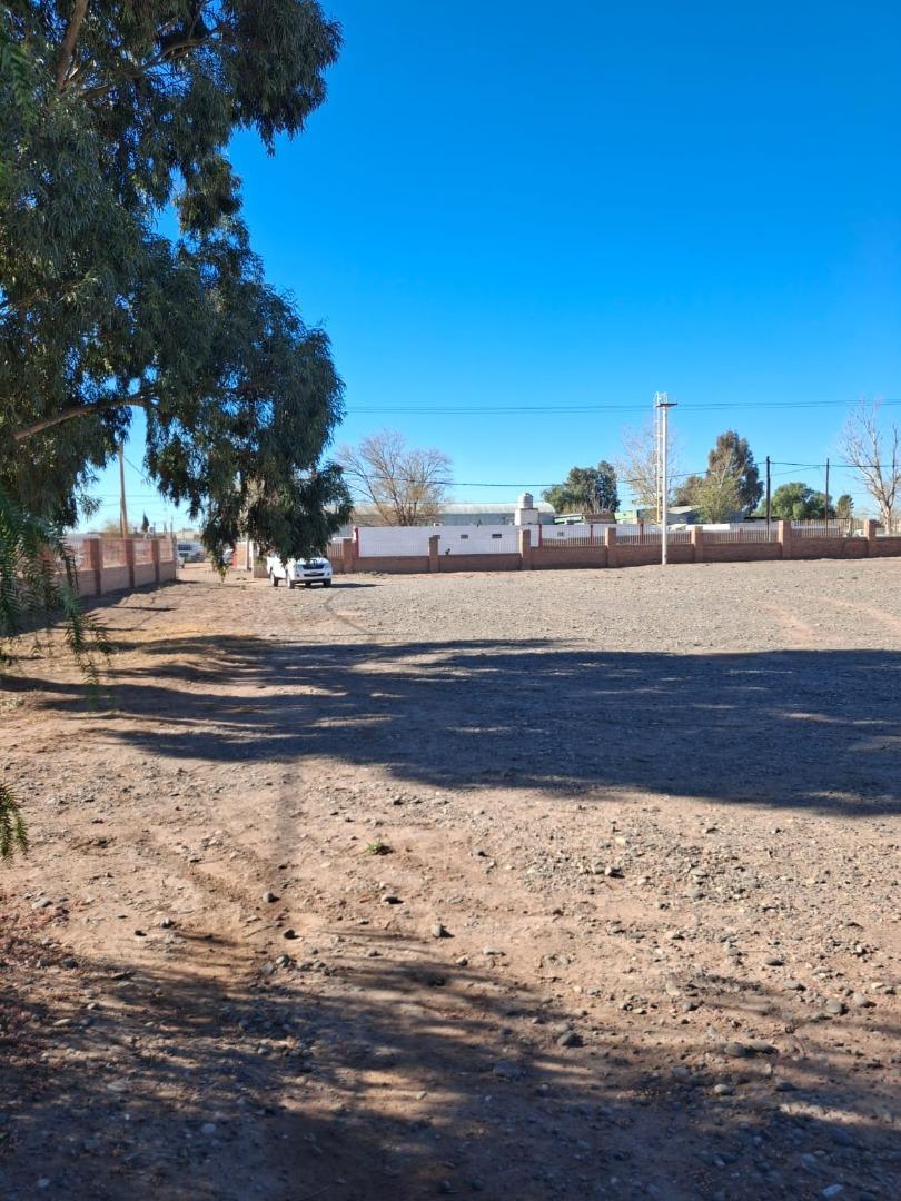 Galpon en Venta en Rincon De Los Sauces, USD 470.000