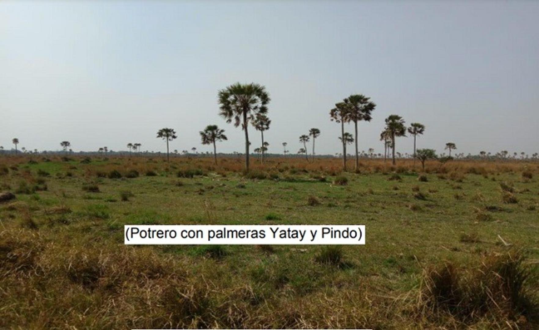 Rp 5 San Luis Del Palmar Y Gral Paz