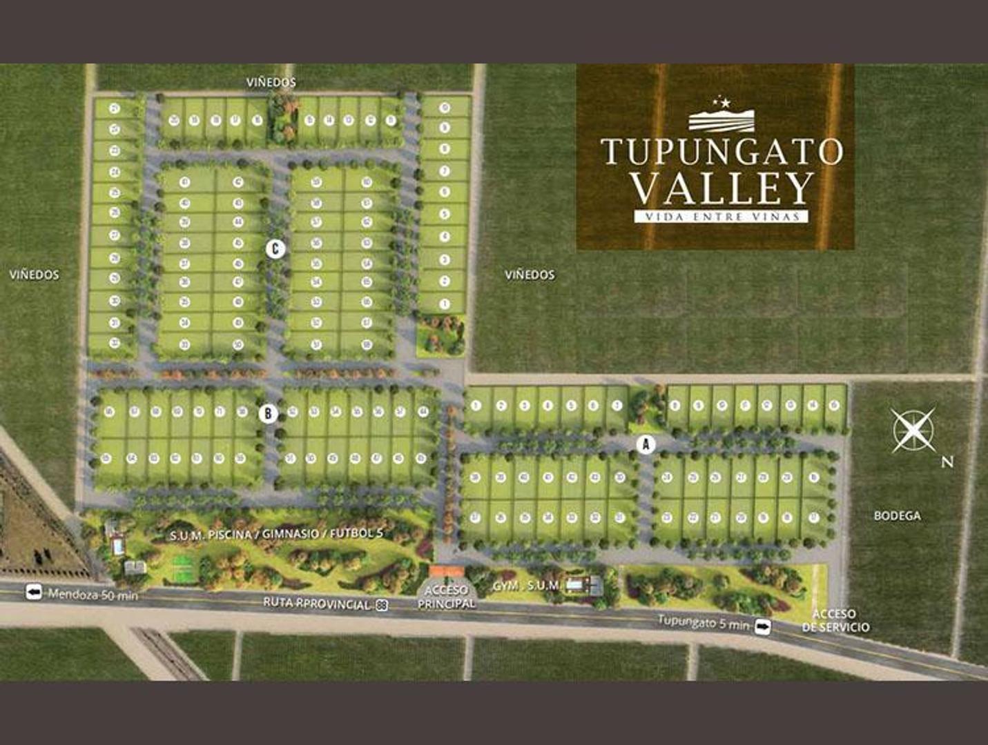 Terreno en Venta en Tupungato, USD 30.000