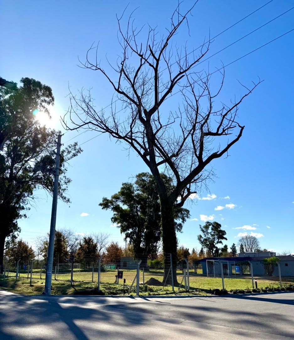 Terreno en Venta de 600,0 m2