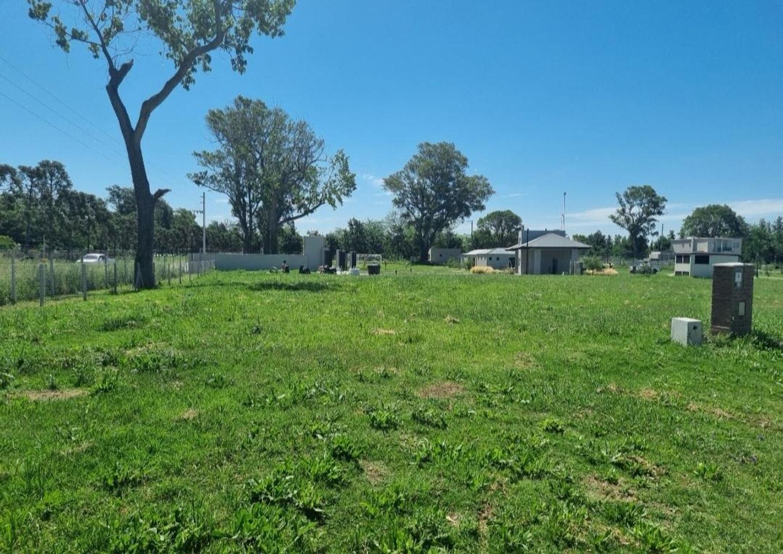 Lote San Juan Chico Hudson I75