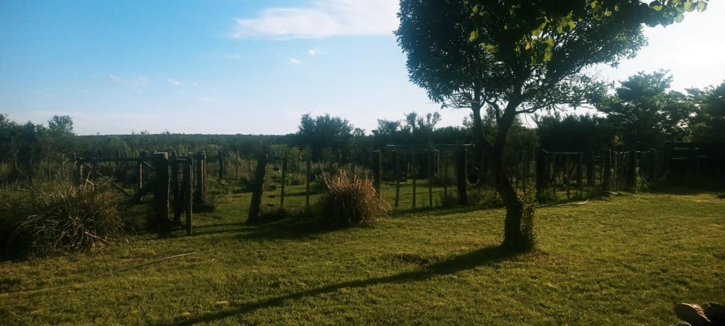 Campo de 9 Has en Concaran - San Luis