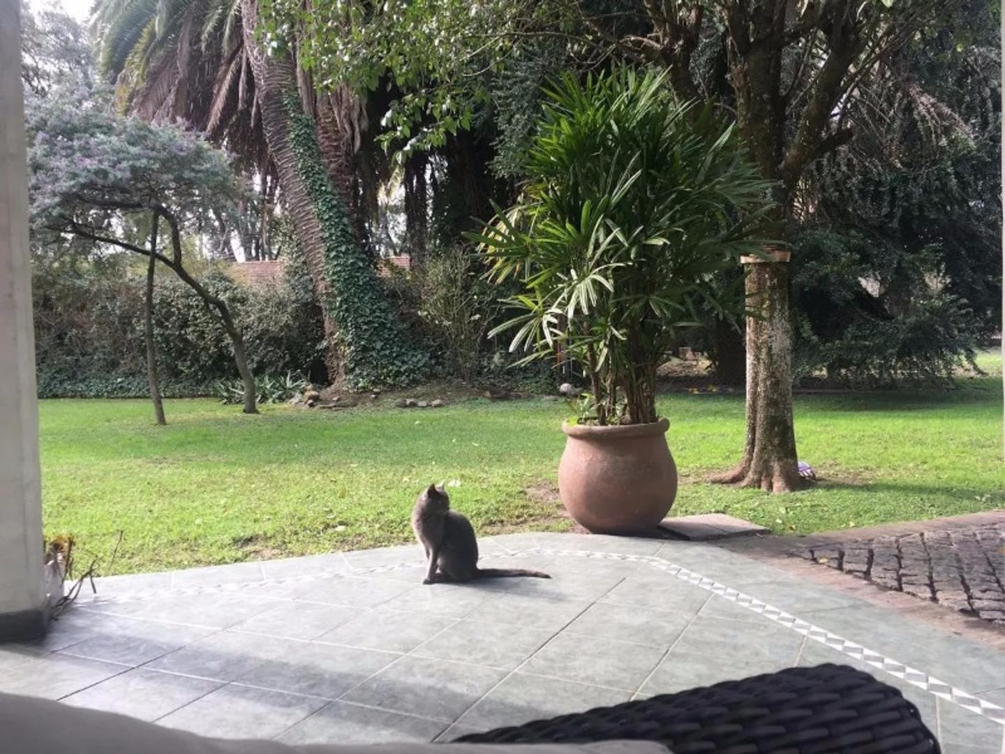 Casa en Venta en Ituzaingo, USD 400.000