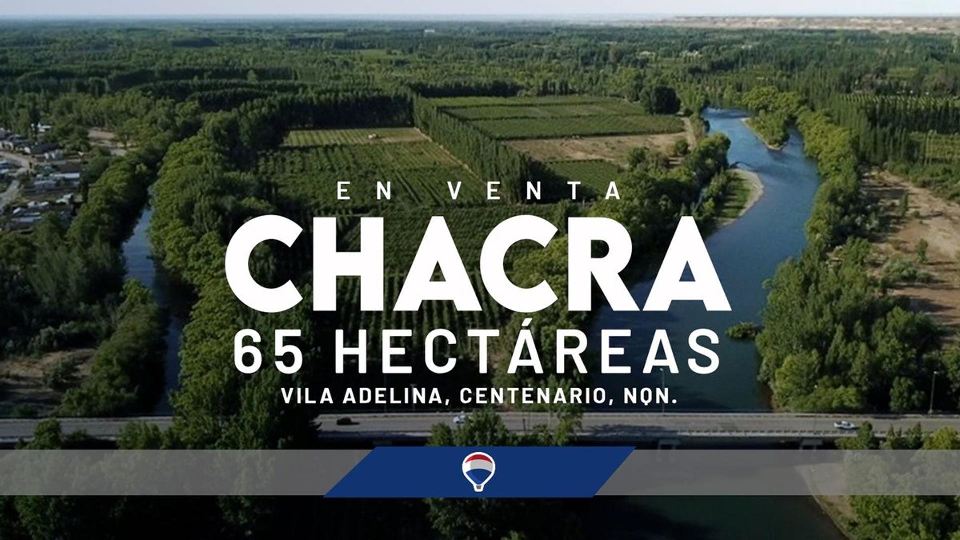 VENTA CHACRA 65 HECTÁREAS, CENTENARIO NEUQUEN