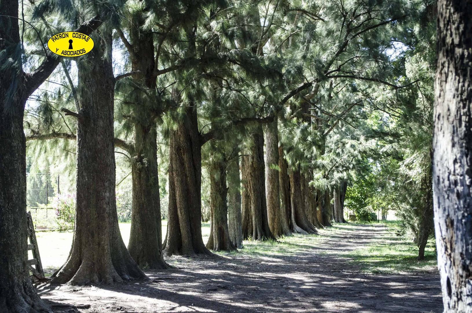 3038HP- VENTA chacra 6has OPEN DOOR, Luján MB casa principal