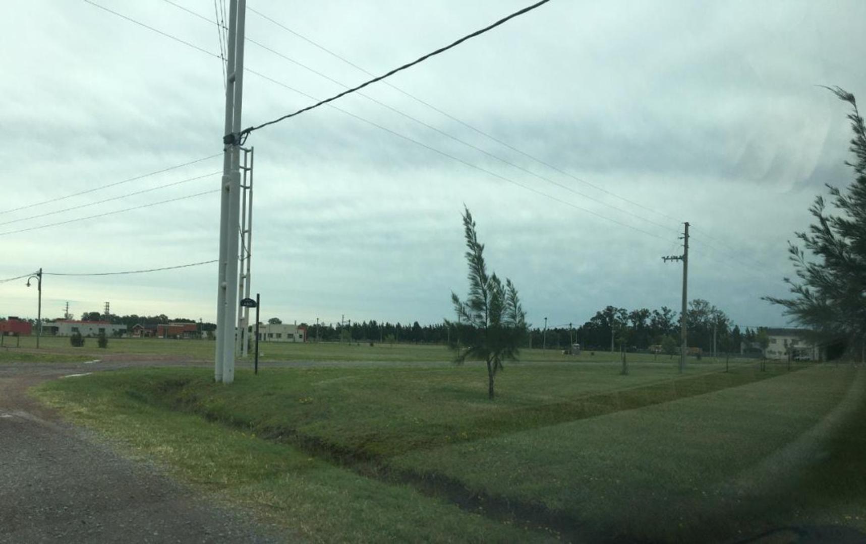 FINCAS DE SAN VICENTE SPORTING