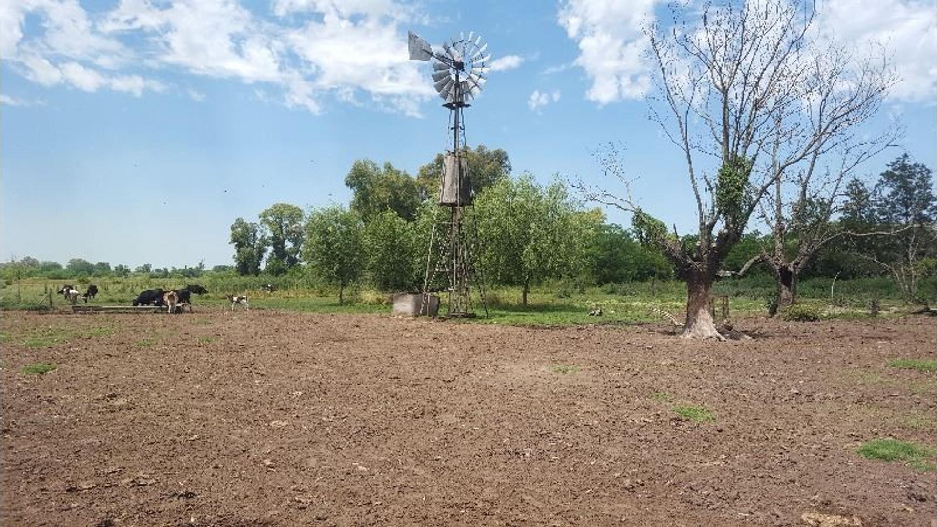 Camino Real A Moreno