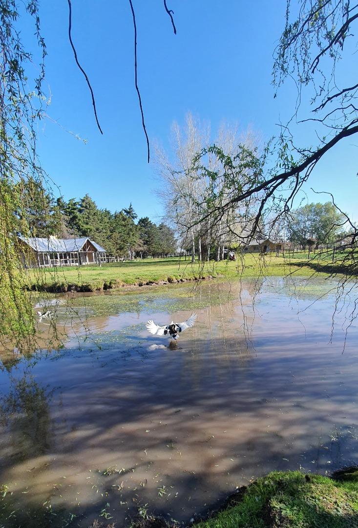 Chacra con lago propio y Pileta