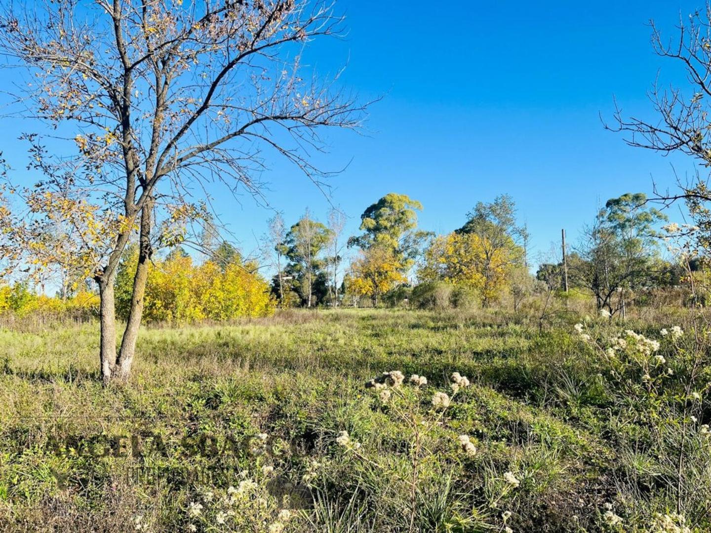 Terreno en Venta de 790,0 m2