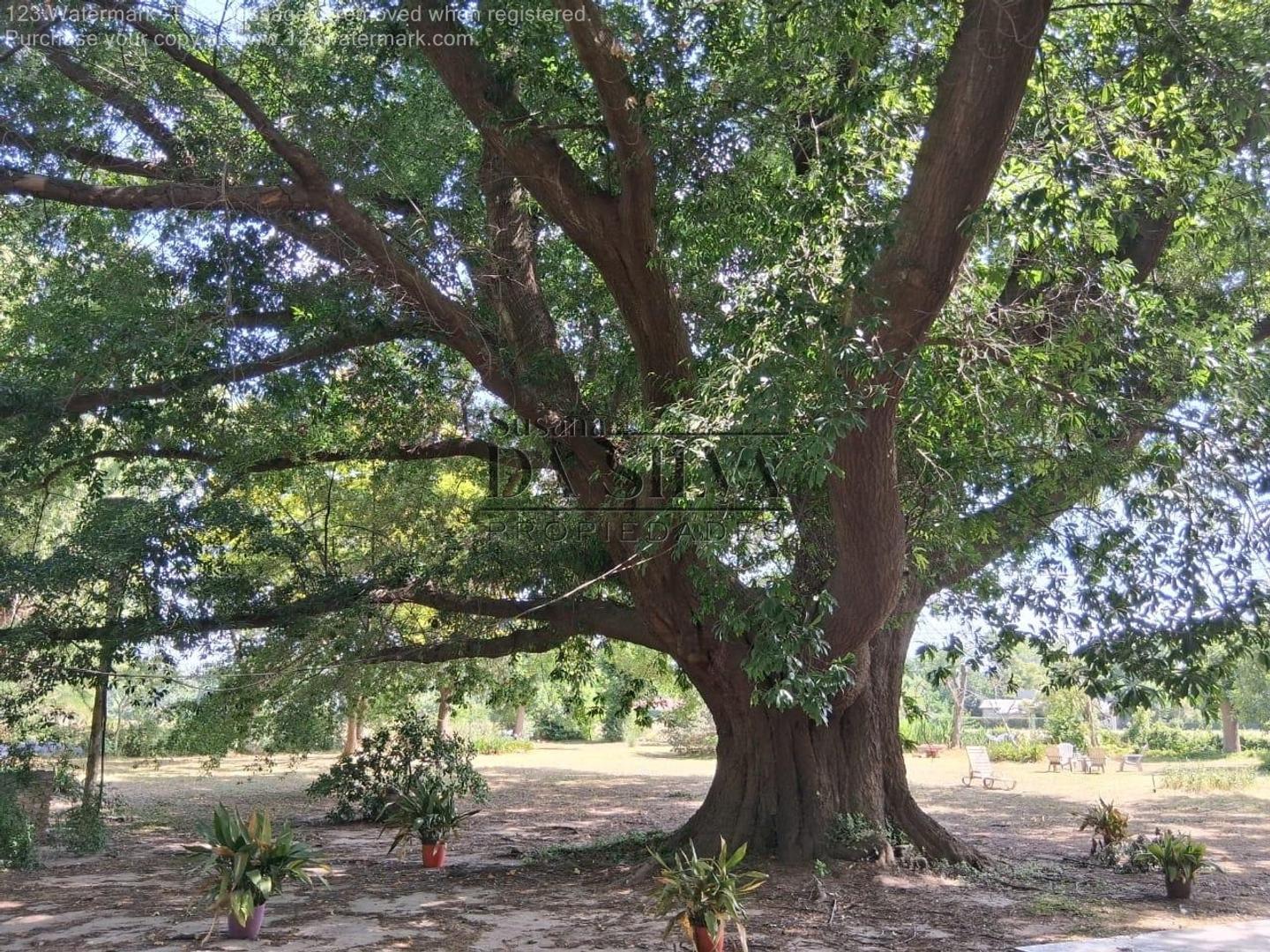 Terreno Con Pileta El Moro