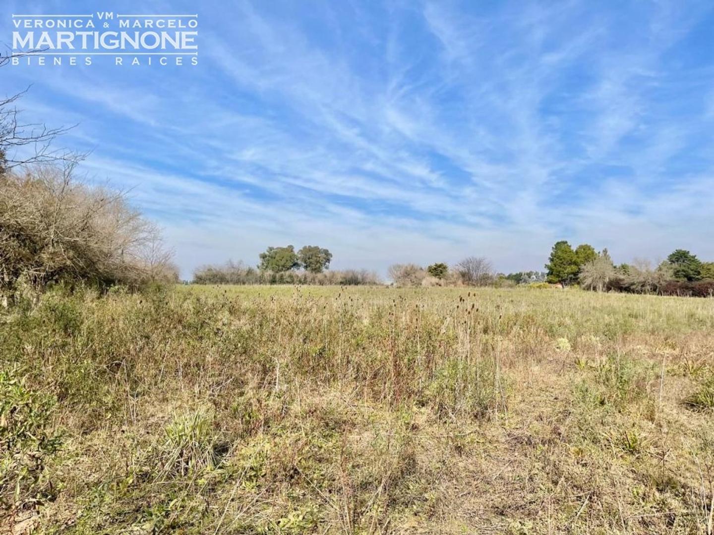 Única Fracción 65.000 M2 - Exaltación De La Cruz