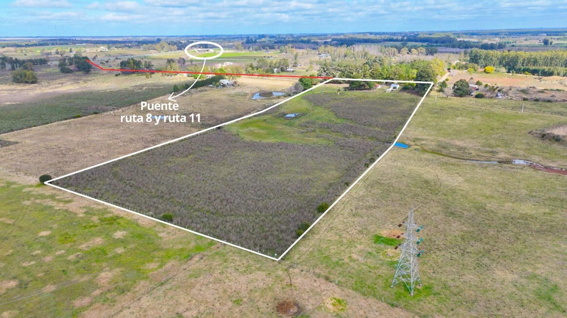 Ruta 8 LA PALMITA 100