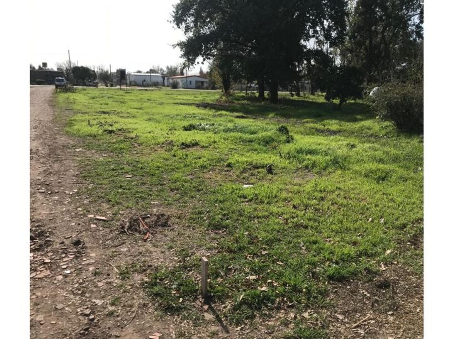 Alfredo Schilla 300 - Barrio Los Nogales - Lote 4