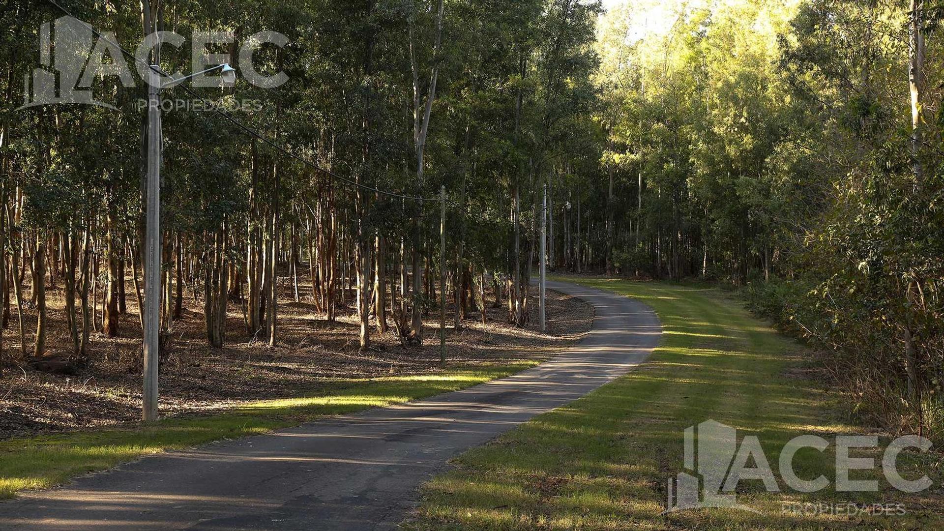 Terreno en Venta de 1009,0 m2