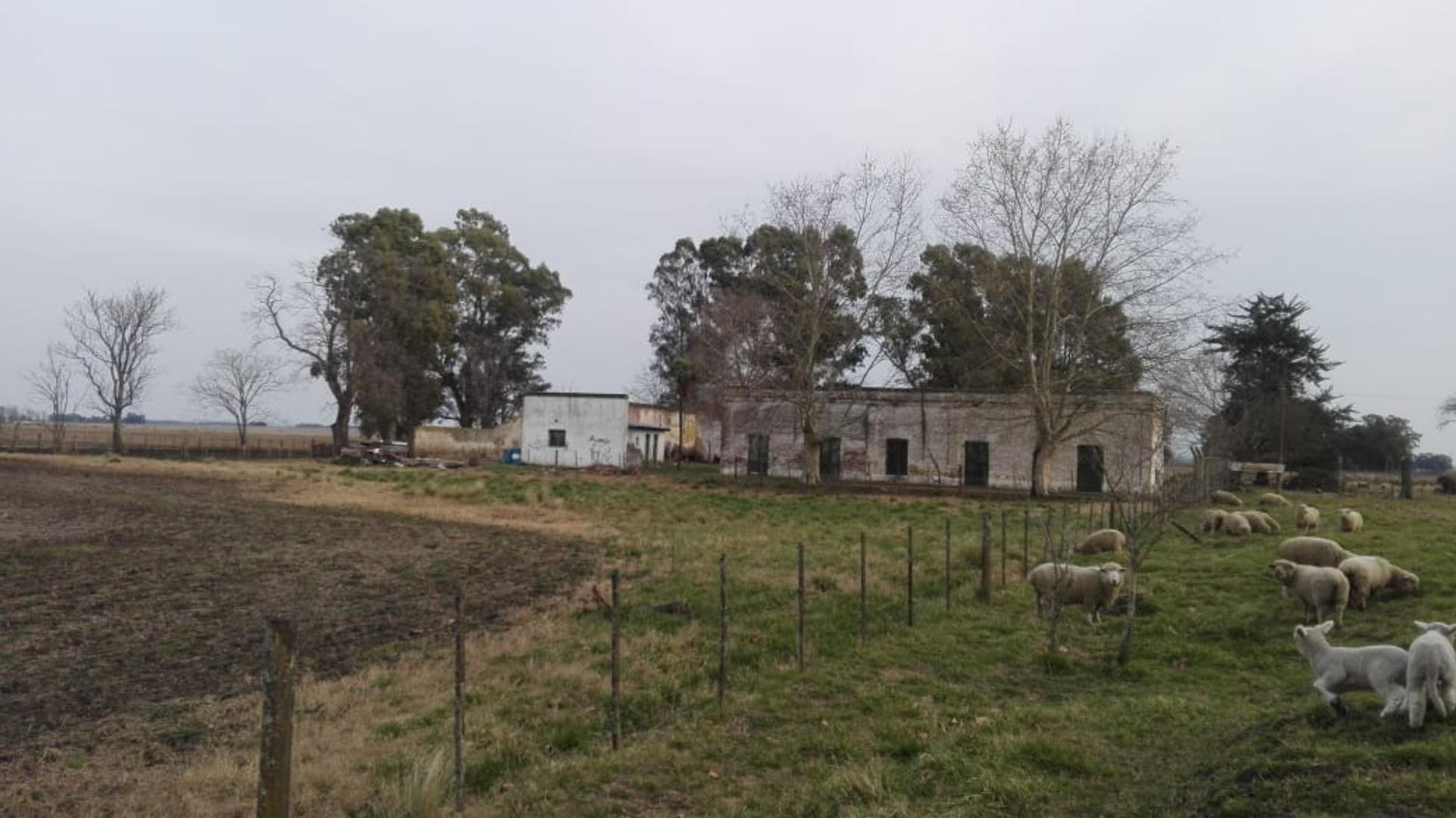 Quinta en Venta de 5 dormitorios