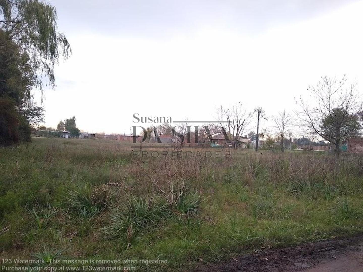 Lote Calle Leavy, Villa El Pinar