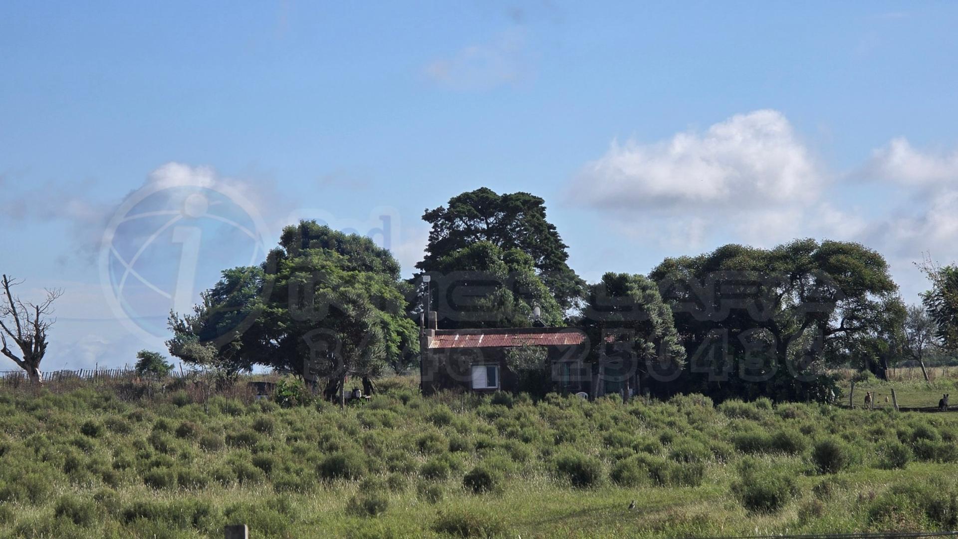 Colonia El Potrero Uno