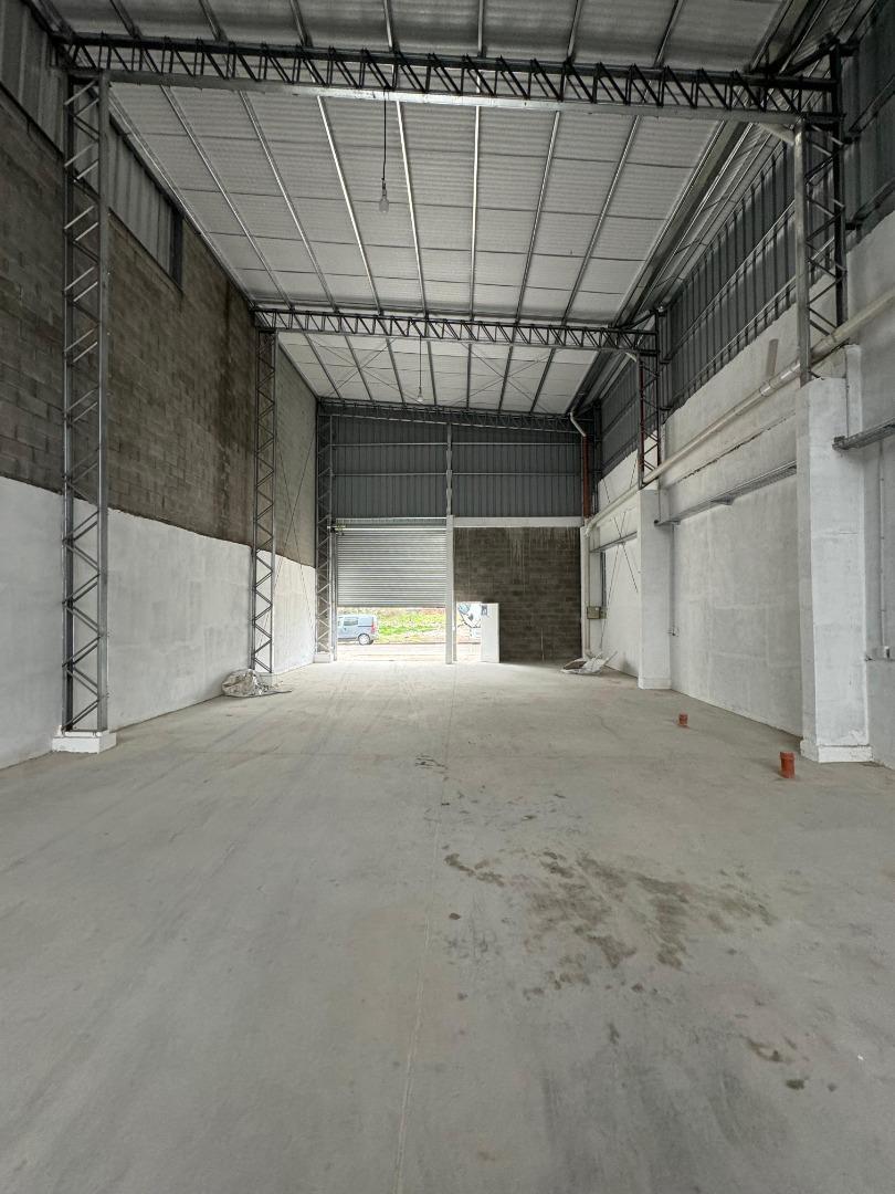 Galpón Industrial 600m2 Piso Alto Tránsito H30