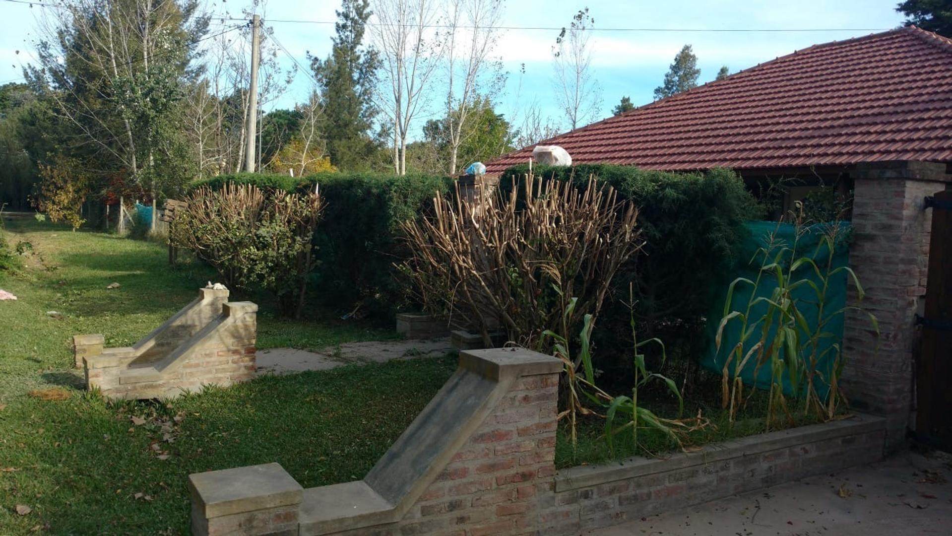 Parque Sakura Jose Ingeniero