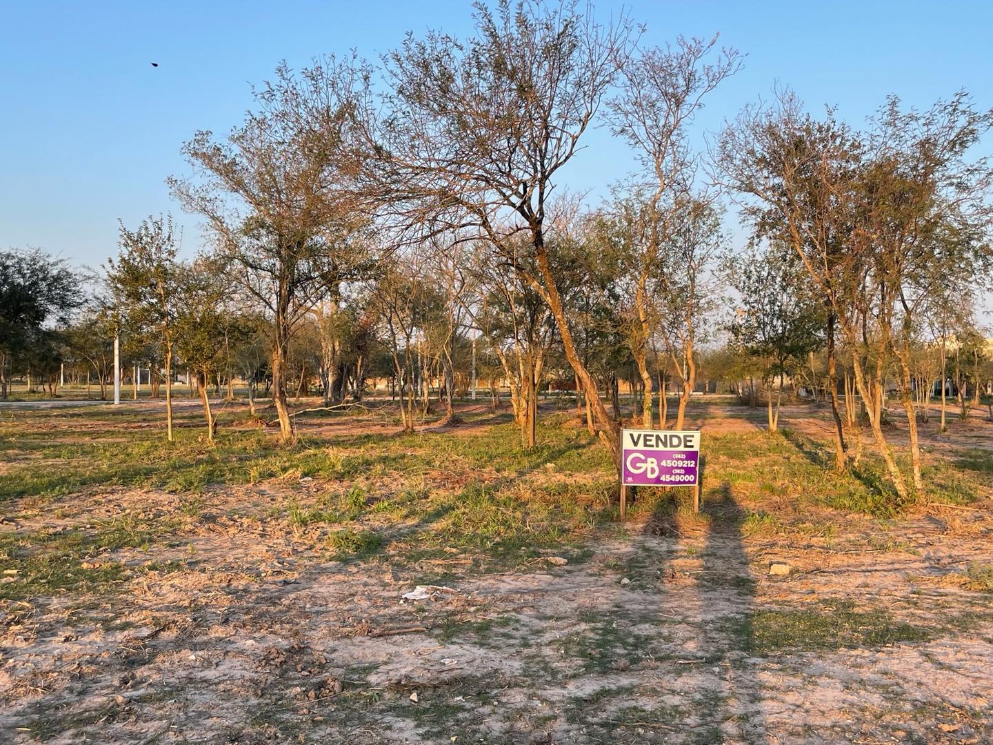 Portal del Bosque Zona Norte