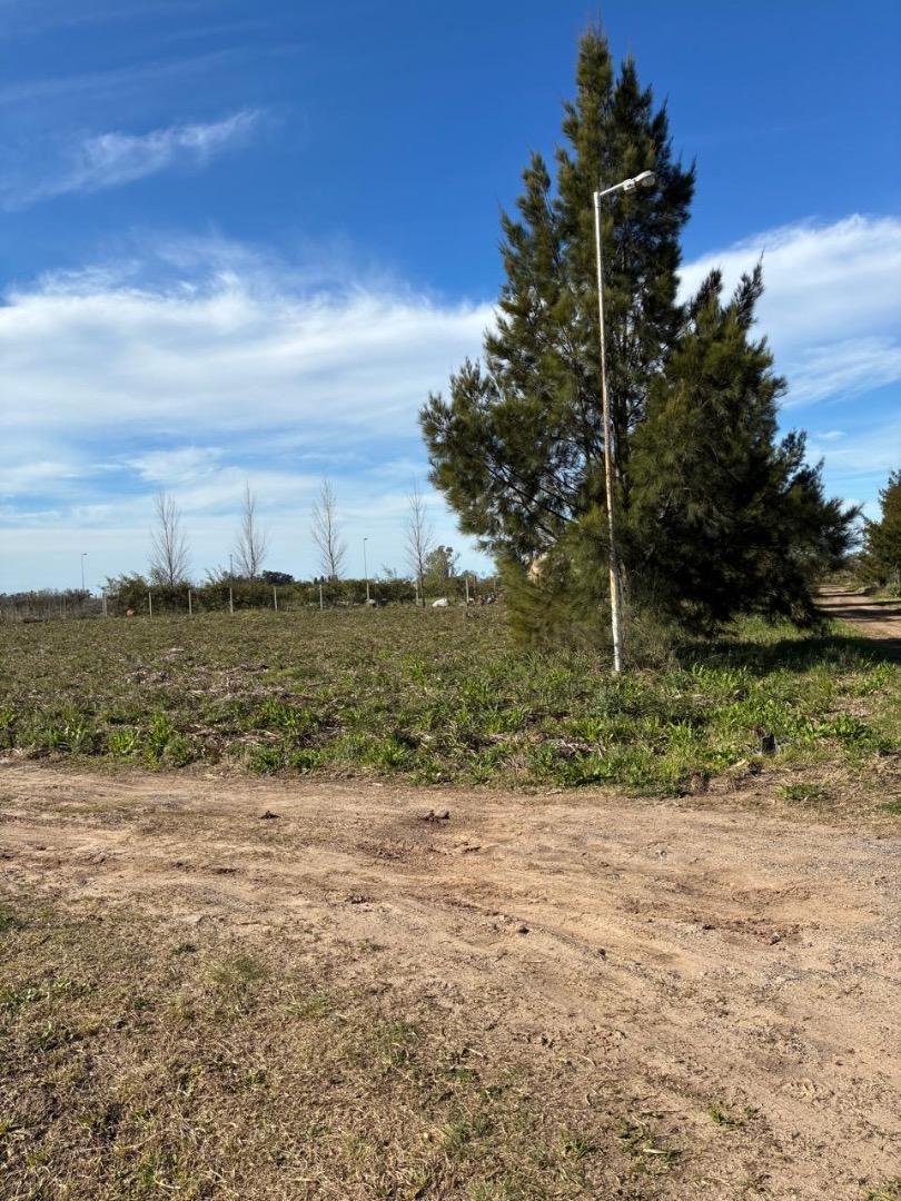 Lote de 2006m²  - Cucullu Buenos Aires