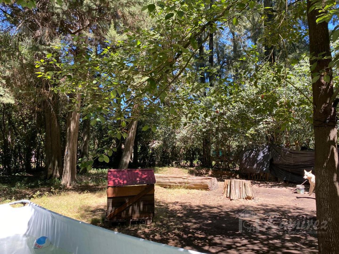 Carlos de linneo al 1300