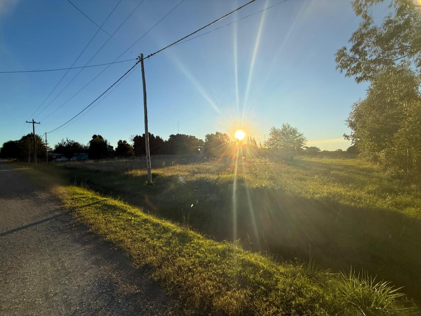 Terreno en Venta de 974,0 m2