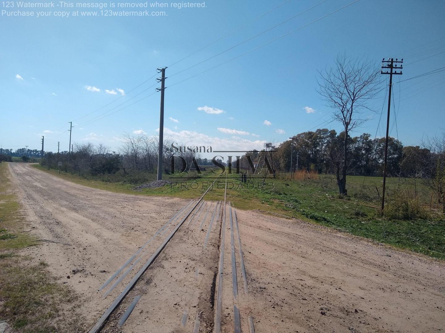 Calle Libertad, 85 Hectareas