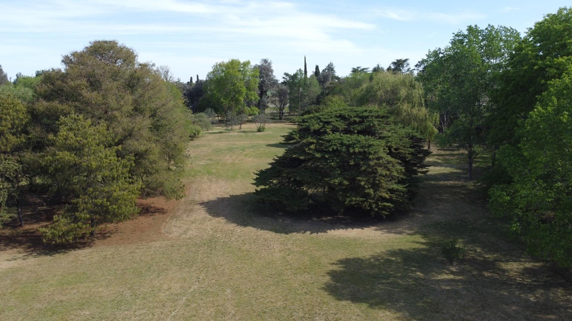 Ruta Nacional 9 - Colectora KM 102