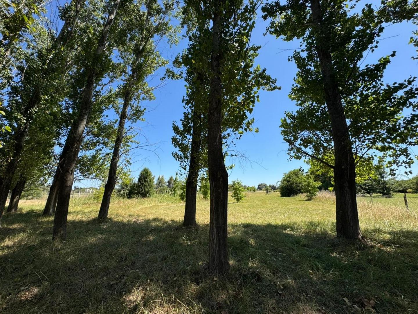 Terreno en Venta de 5238,0 m2