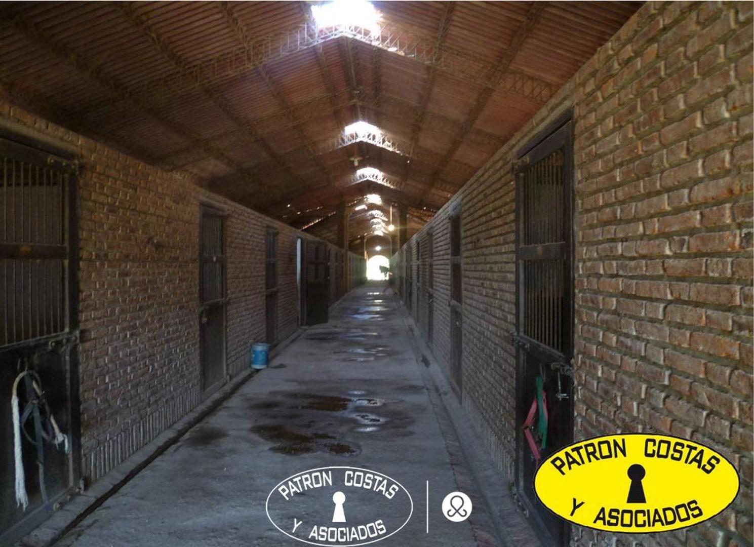 Haras Argentino Farm Club 100