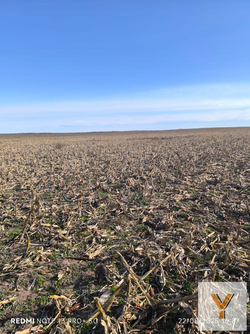 Campo en venta - 940 Hectáreas - San Luis