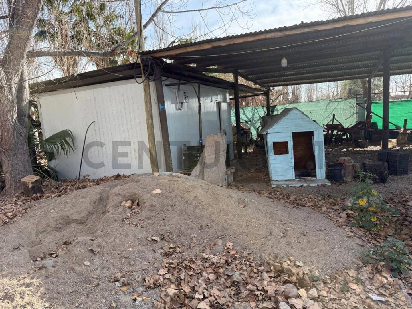 Finca en Venta, Rodeo del Medio, Maipú, Mendoza