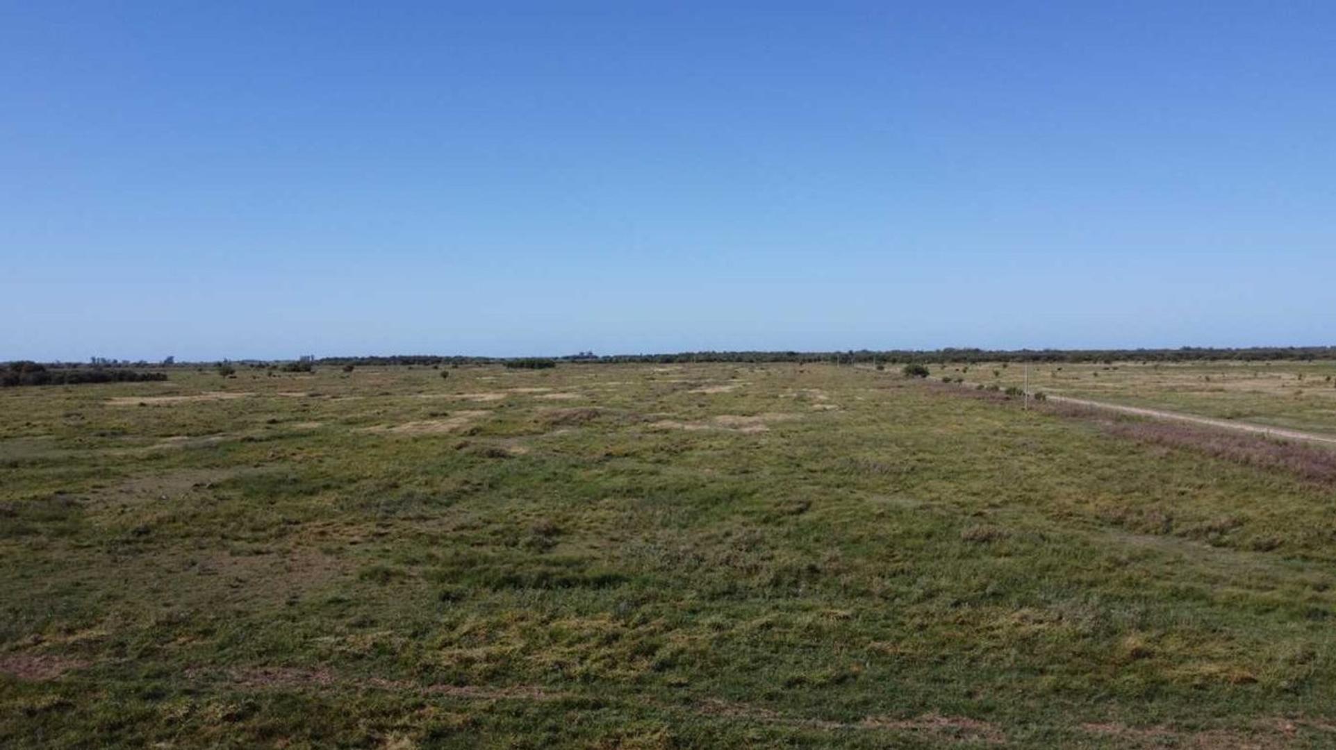 VENTA / CAMPO GANADERO 1385 HECTÁREAS / HUANQUEROS