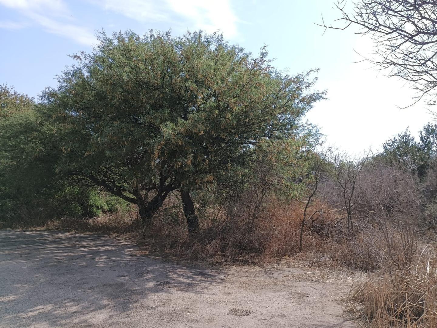 Terreno en Venta de 550,0 m2