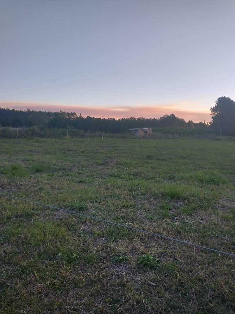 Terreno en Venta de 3100,0 m2