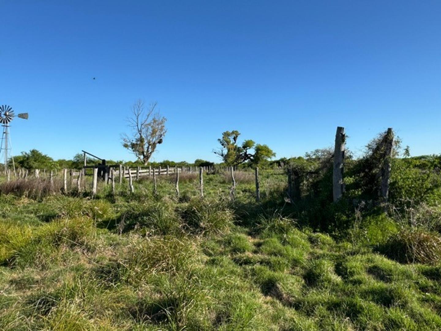 Campo Mixto 600 hectareas Sauce Corrientes