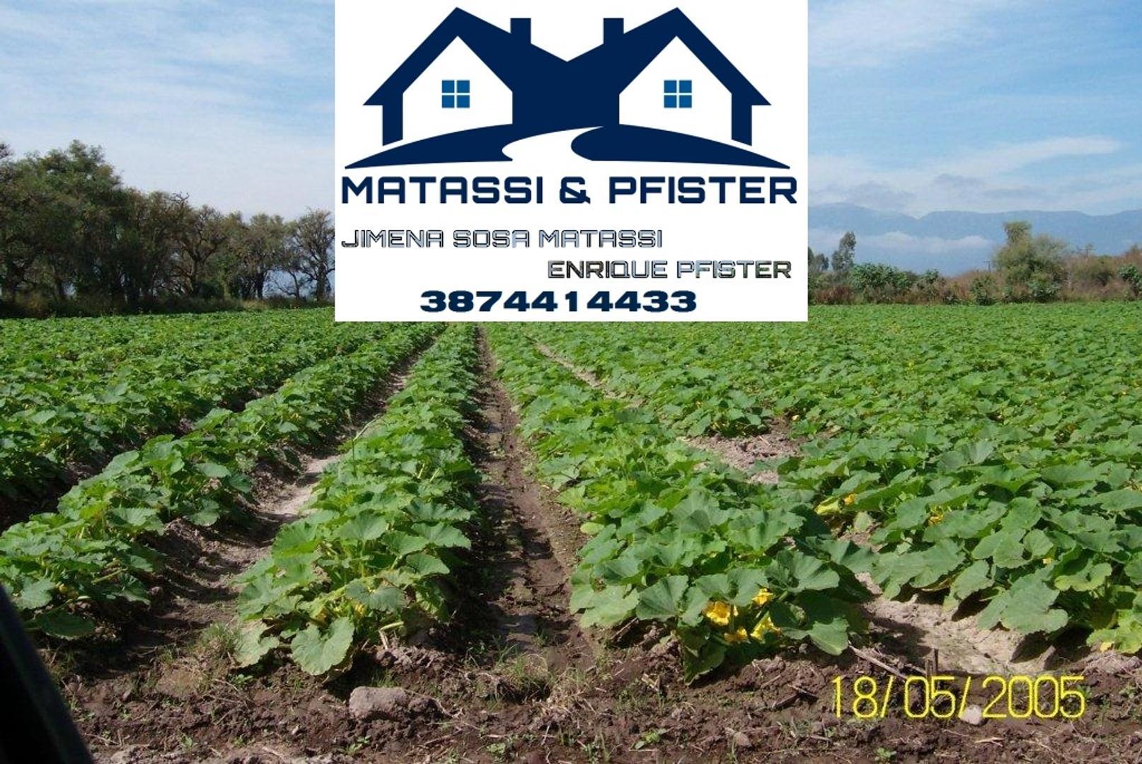 Campo Productivo Pampa Blanca Jujuy