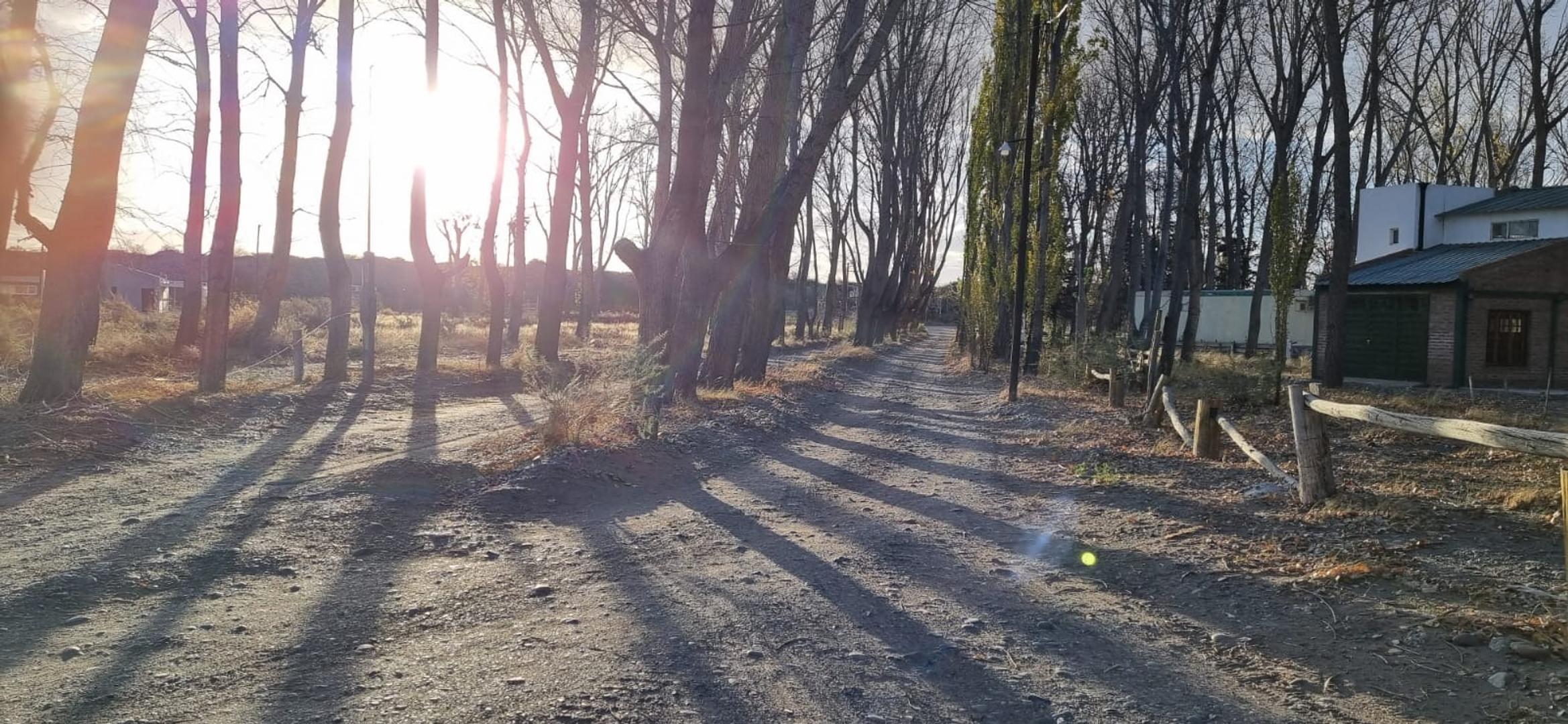 Terreno en Venta en Arroyito, USD 20.000