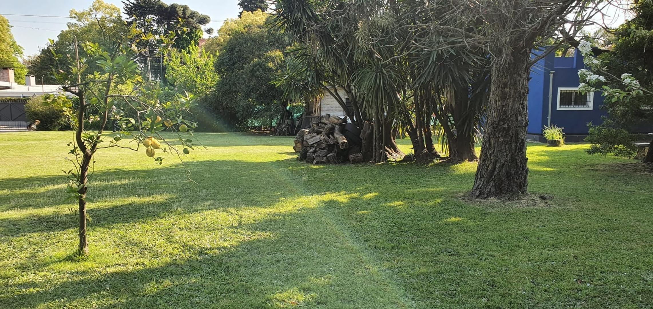 Gobernador Arana 1665