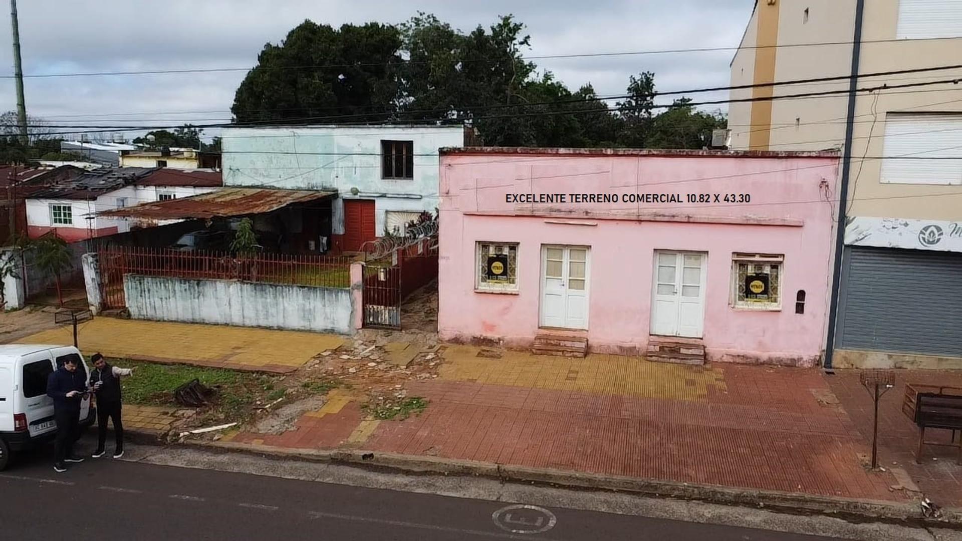 LOTE SOBRE AV. ROSALES