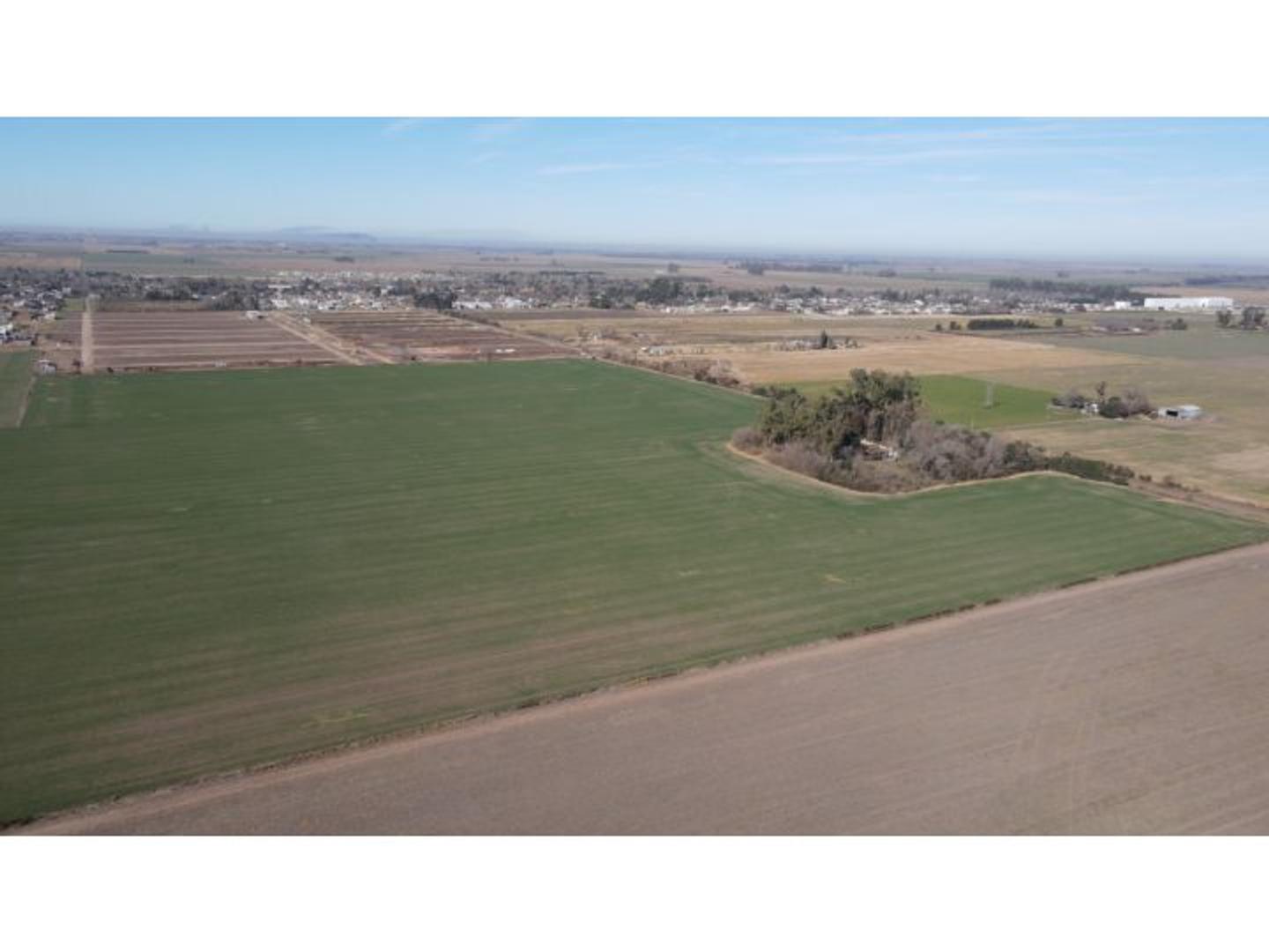 38 has en Ricardone, aptas loteo