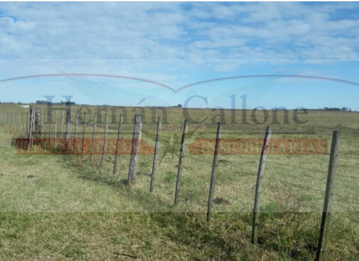CAMPO DE 255 HAS. EN VENTA EN PEHUAJÓ