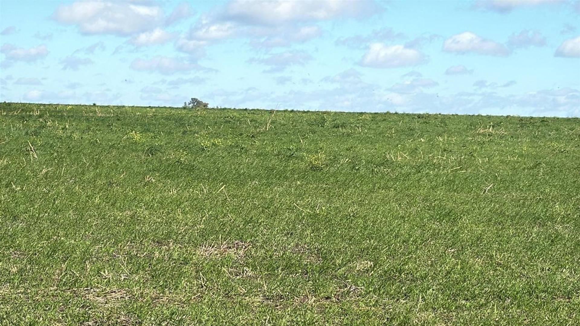 Diamante, Zona Rural