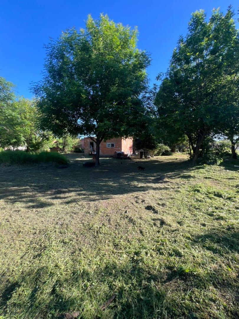 terreno 30x50 - Sobre Av. Martina - Con casa reciclar