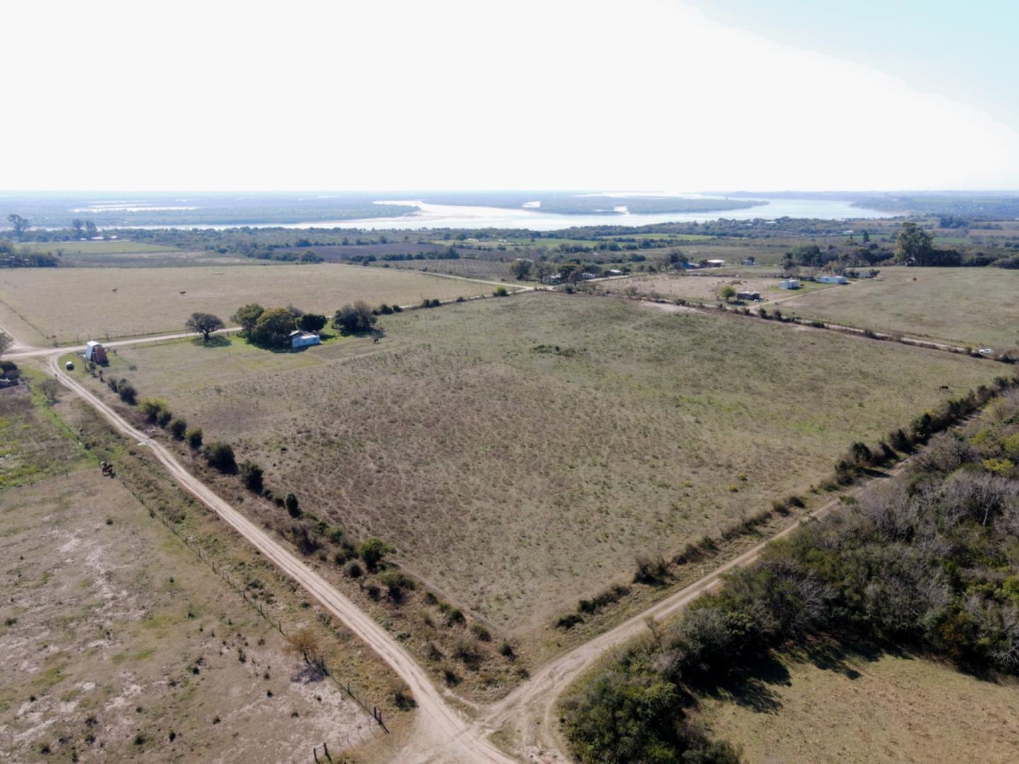 EXCELENTE INVERSION EN ALVEAR, DIAMANTE