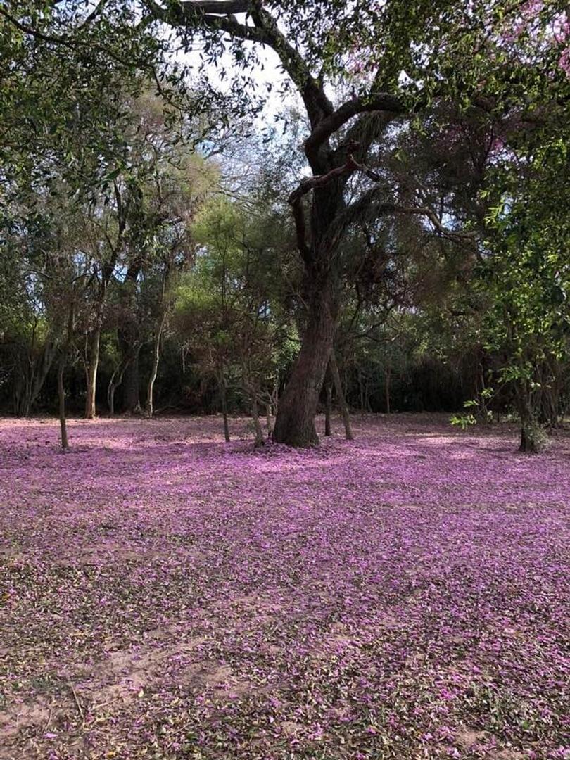 Club de Campo Dos Lunas