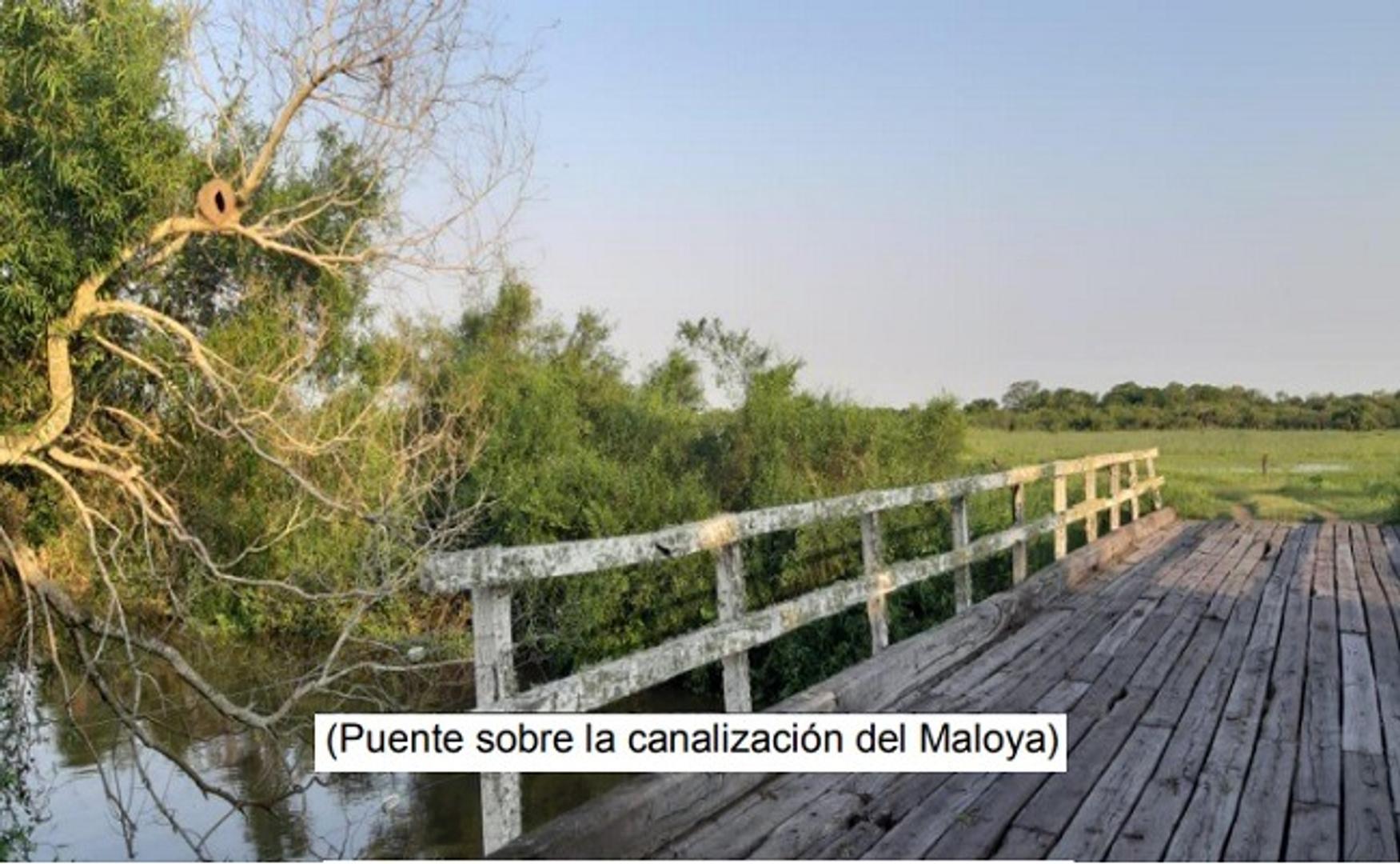 Campo 4168 Hectáreas Mixto  San Luis del Palmar Corrientes