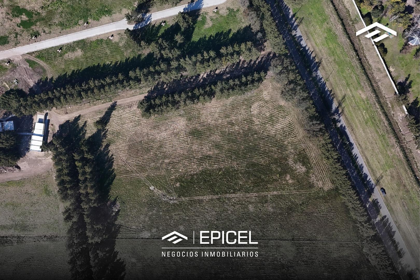 Cnel Vicente Dupuy 6000